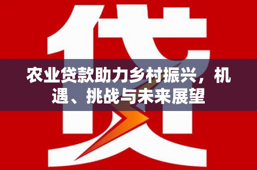 板桥农业贷款助力乡村振兴，机遇、挑战与未来展望
