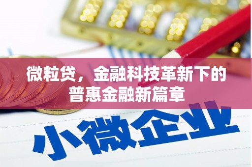 板桥微粒贷，金融科技革新下的普惠金融新篇章