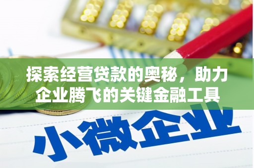 板桥探索经营贷款的奥秘，助力企业腾飞的关键金融工具