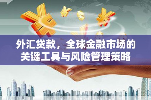 板桥外汇贷款，全球金融市场的关键工具与风险管理策略