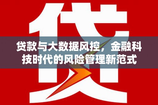 板桥贷款与大数据风控，金融科技时代的风险管理新范式
