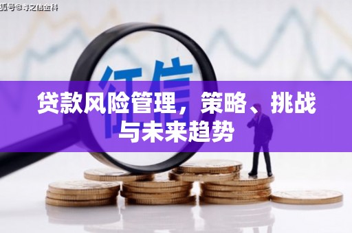 板桥贷款风险管理，策略、挑战与未来趋势