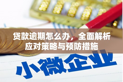 板桥贷款逾期怎么办，全面解析应对策略与预防措施