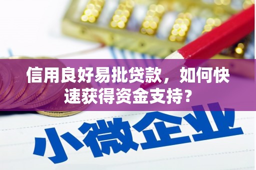 板桥信用良好易批贷款，如何快速获得资金支持？