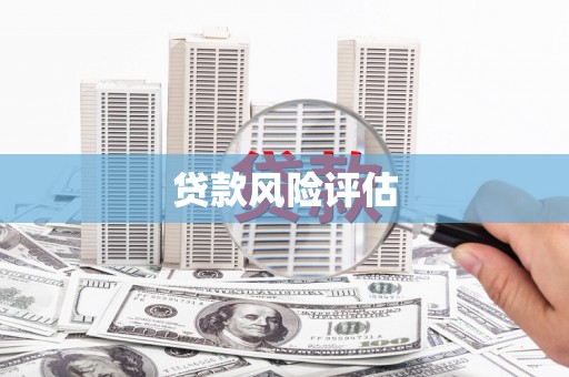 板桥贷款风险评估