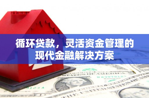 板桥循环贷款，灵活资金管理的现代金融解决方案