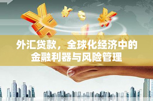 板桥外汇贷款，全球化经济中的金融利器与风险管理