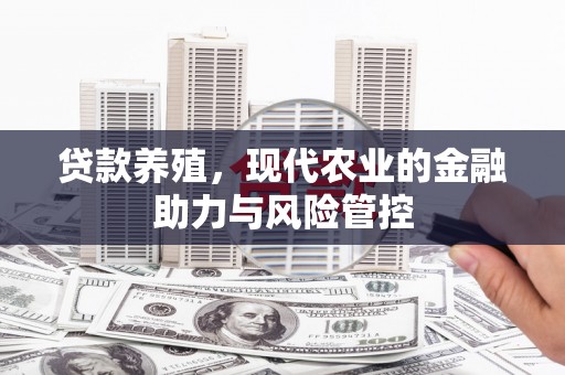 板桥贷款养殖，现代农业的金融助力与风险管控
