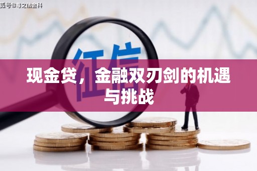 板桥现金贷，金融双刃剑的机遇与挑战