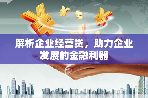 板桥解析企业经营贷，助力企业发展的金融利器