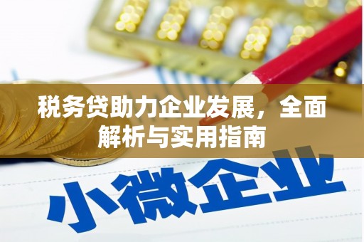 板桥税务贷助力企业发展，全面解析与实用指南