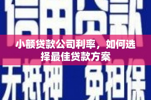 板桥小额贷款公司利率，如何选择最佳贷款方案