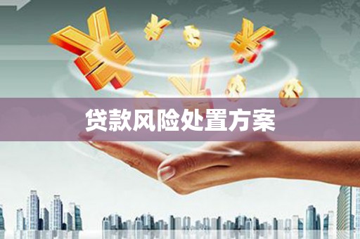 板桥贷款风险处置方案