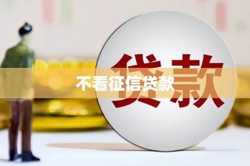 板桥不看征信贷款