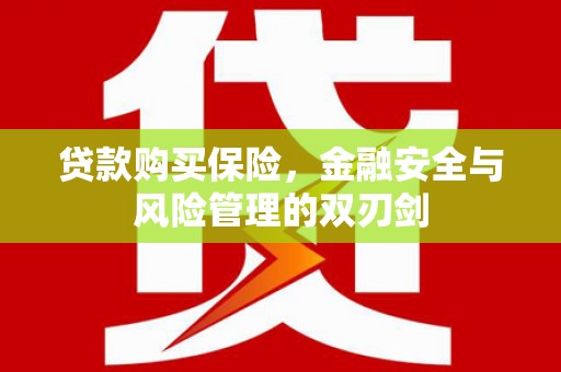 板桥贷款购买保险，金融安全与风险管理的双刃剑