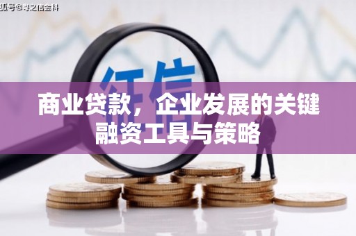 板桥商业贷款，企业发展的关键融资工具与策略