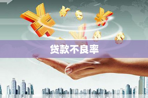 板桥贷款不良率