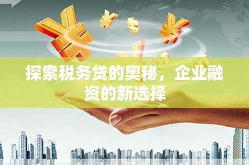 板桥探索税务贷的奥秘，企业融资的新选择