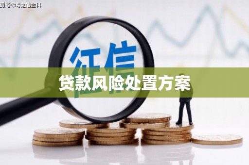 板桥贷款风险处置方案