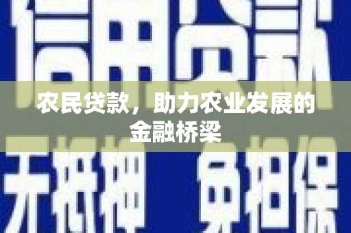 板桥农民贷款，助力农业发展的金融桥梁