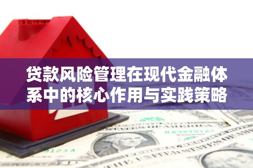 板桥贷款风险管理在现代金融体系中的核心作用与实践策略