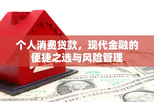 板桥个人消费贷款，现代金融的便捷之选与风险管理
