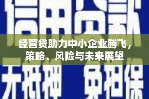 板桥经营贷助力中小企业腾飞，策略、风险与未来展望