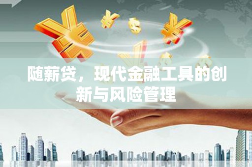 板桥随薪贷，现代金融工具的创新与风险管理