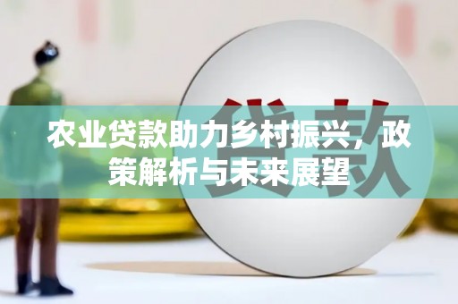 板桥农业贷款助力乡村振兴，政策解析与未来展望