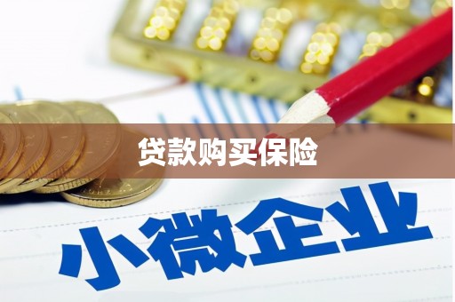 板桥贷款购买保险