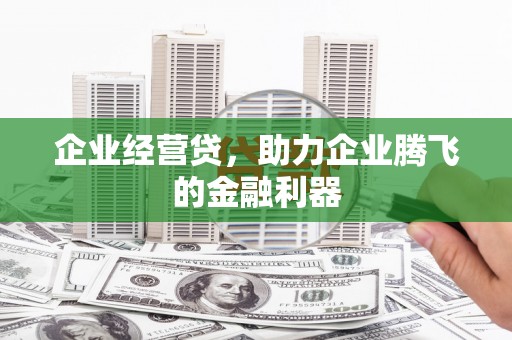 板桥企业经营贷，助力企业腾飞的金融利器