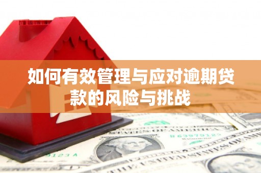 板桥如何有效管理与应对逾期贷款的风险与挑战