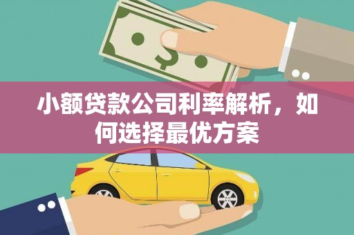 板桥小额贷款公司利率解析，如何选择最优方案