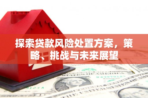 板桥探索贷款风险处置方案，策略、挑战与未来展望