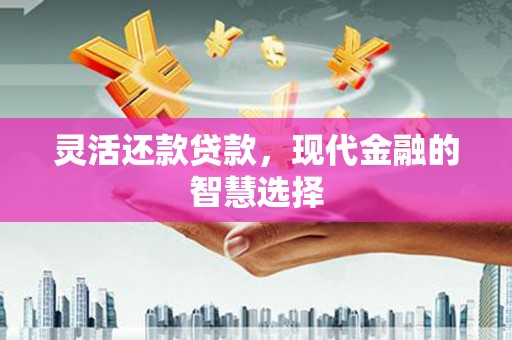 板桥灵活还款贷款，现代金融的智慧选择