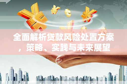 板桥全面解析贷款风险处置方案，策略、实践与未来展望