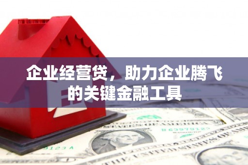 板桥企业经营贷，助力企业腾飞的关键金融工具