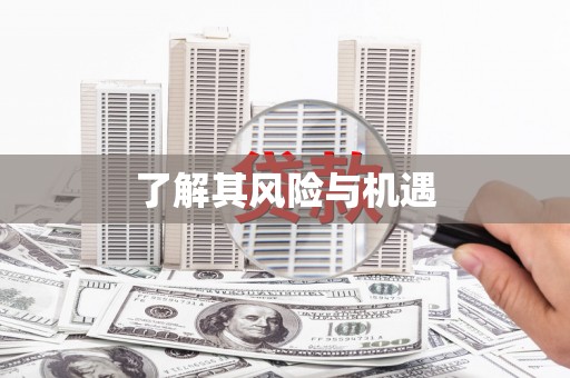 板桥了解其风险与机遇