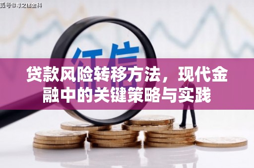 板桥贷款风险转移方法，现代金融中的关键策略与实践