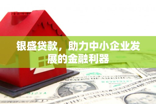 板桥银盛贷款，助力中小企业发展的金融利器