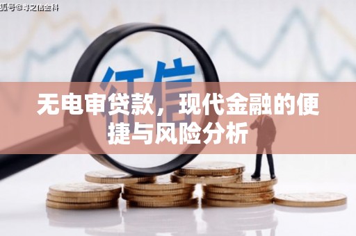 板桥无电审贷款，现代金融的便捷与风险分析