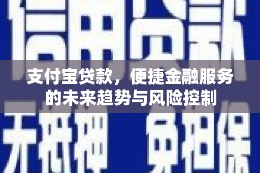 板桥支付宝贷款，便捷金融服务的未来趋势与风险控制