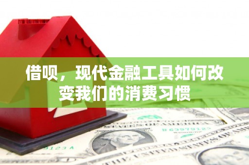板桥借呗，现代金融工具如何改变我们的消费习惯
