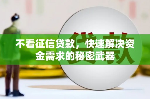 板桥不看征信贷款，快速解决资金需求的秘密武器