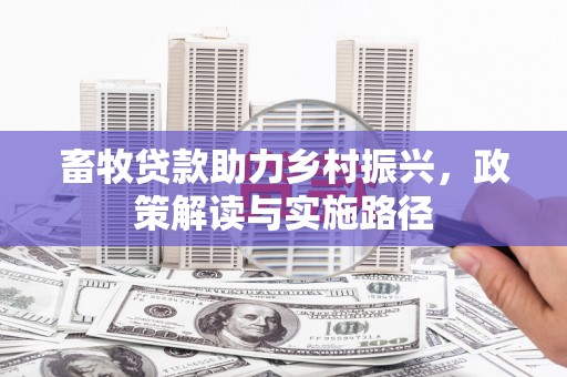 板桥畜牧贷款助力乡村振兴，政策解读与实施路径