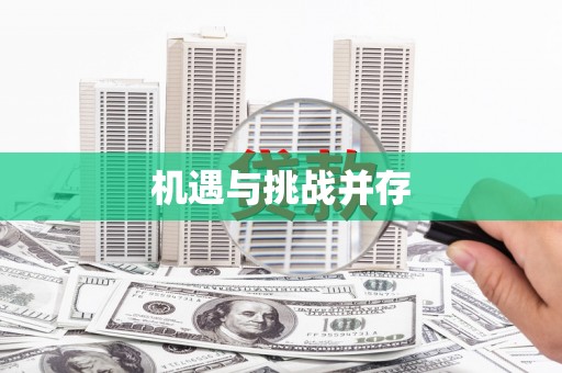 板桥机遇与挑战并存