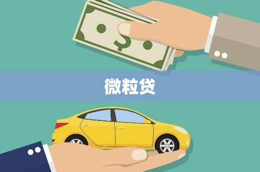 板桥微粒贷