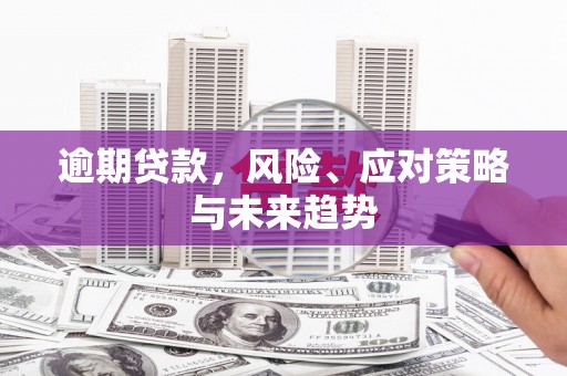 板桥逾期贷款，风险、应对策略与未来趋势