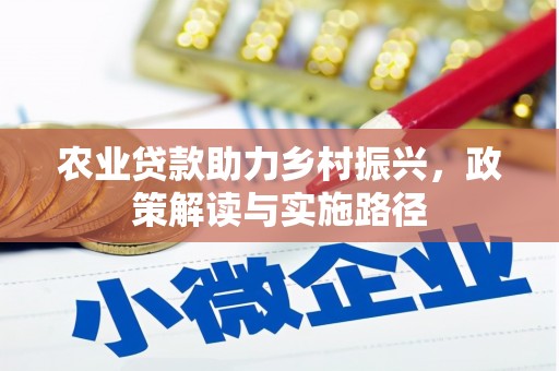 板桥农业贷款助力乡村振兴，政策解读与实施路径