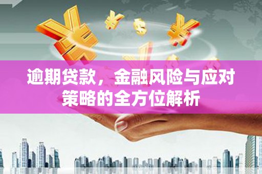 板桥逾期贷款，金融风险与应对策略的全方位解析